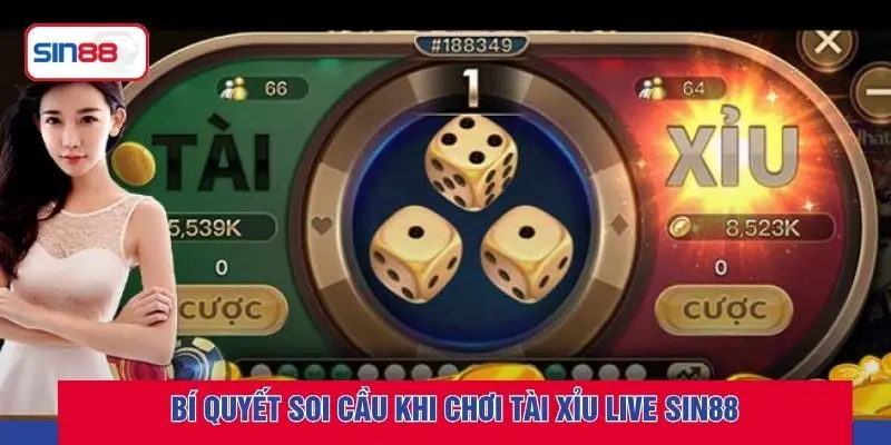 Bí quyết soi cầu khi chơi tài xỉu live SIN88