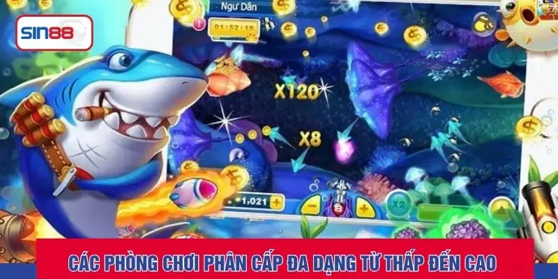 Các phòng chơi phân cấp đa dạng từ thấp đến cao